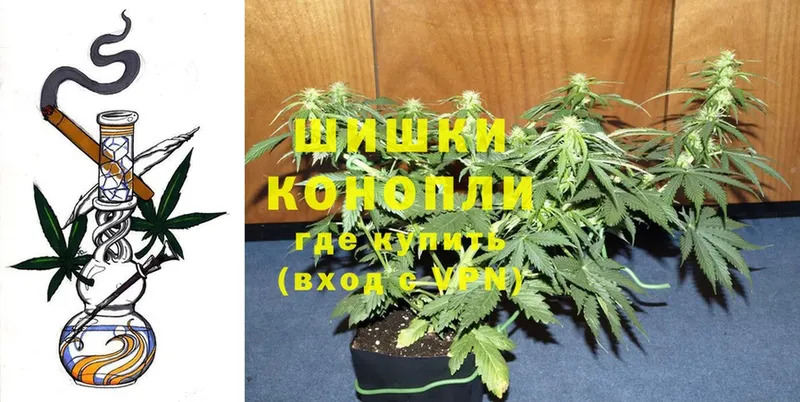 KRAKEN ссылка  Тулун  МАРИХУАНА SATIVA & INDICA 